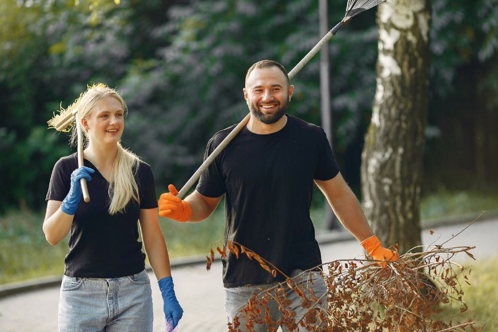 Ghid de toamna: 4 pasi esentiali ca sa-ti pregatesti curtea si gradina pentru iarna