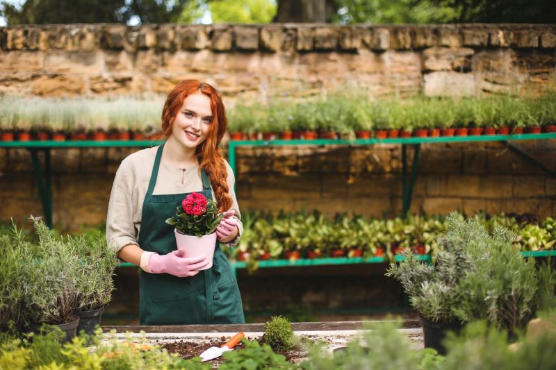 5 categorii de decoratiuni cu care schimbi complet aspectul casei si gradinii