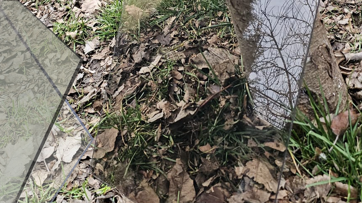 Adaposturi moderne pentru animale: de ce tot mai multi stapani aleg plexiglasul sau policarbonatul